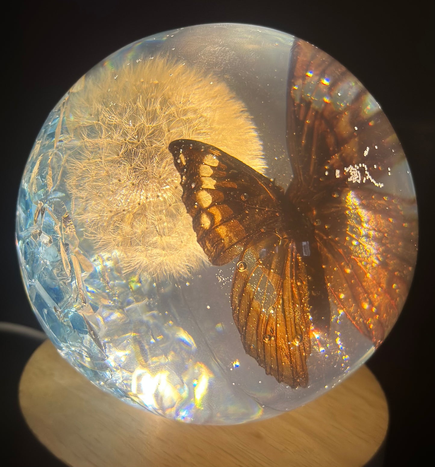 Tabby Butterfly over Dandelion