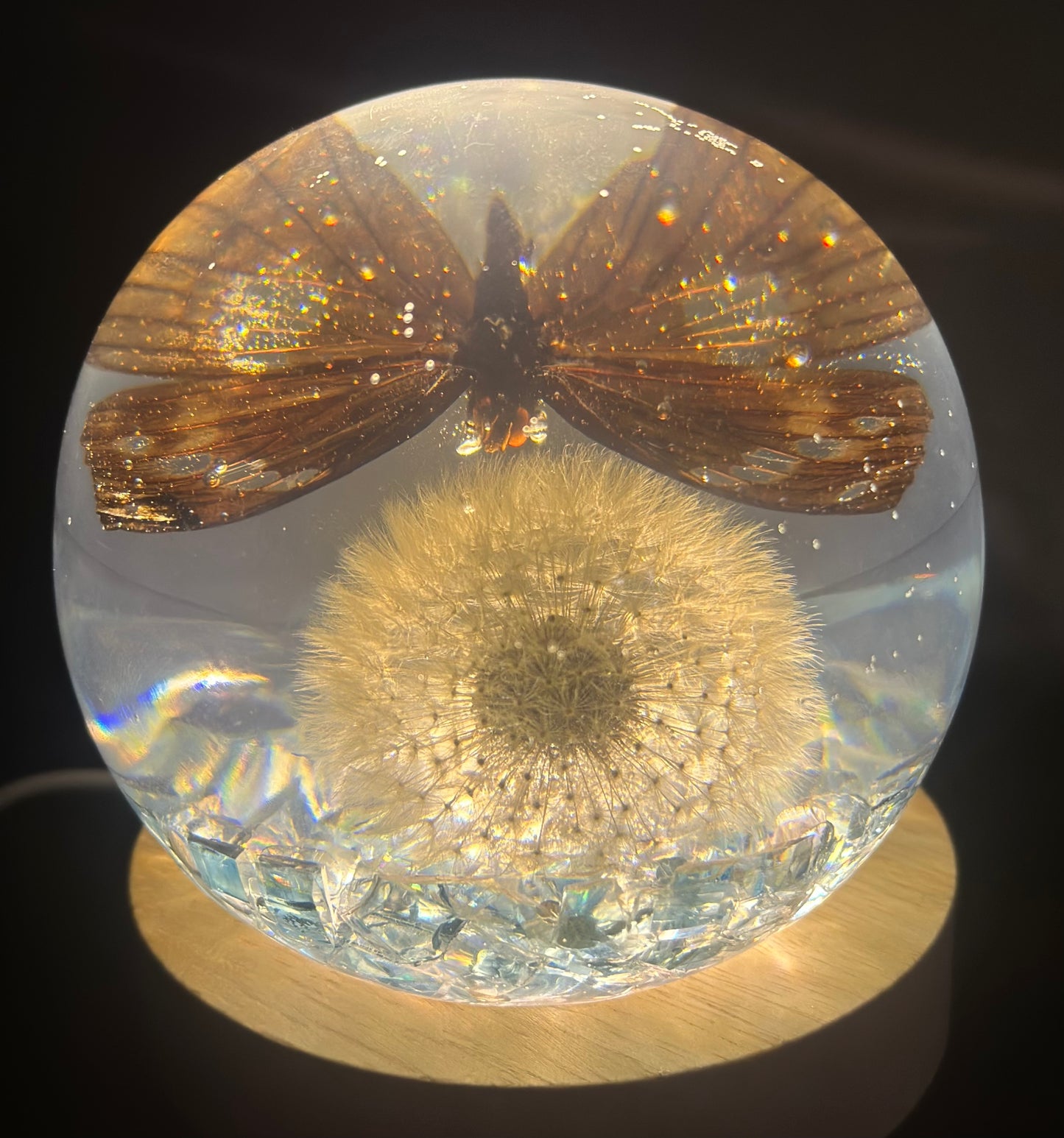 Tabby Butterfly over Dandelion