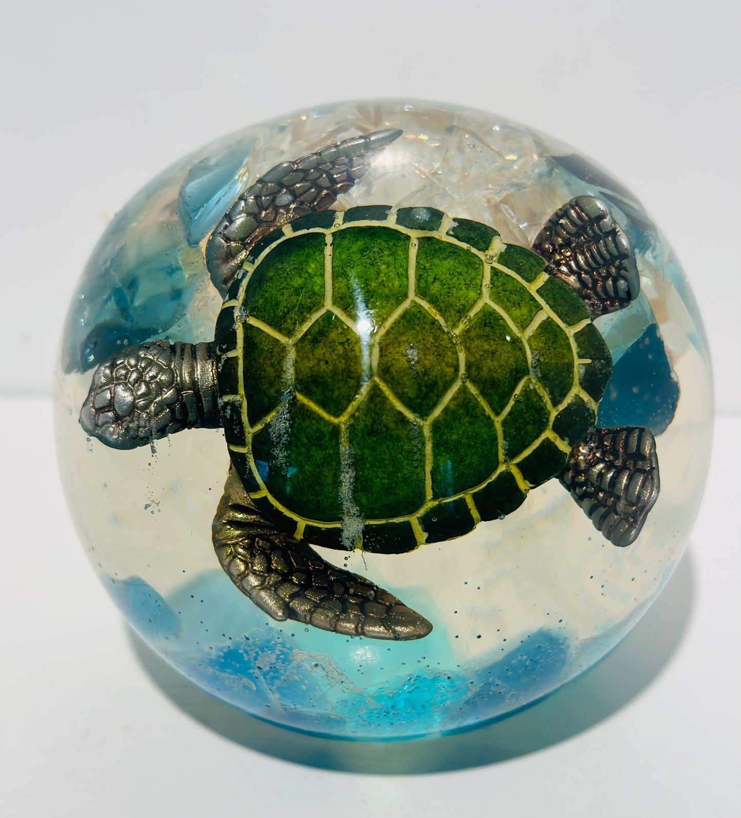 Silver Surfer Turtle