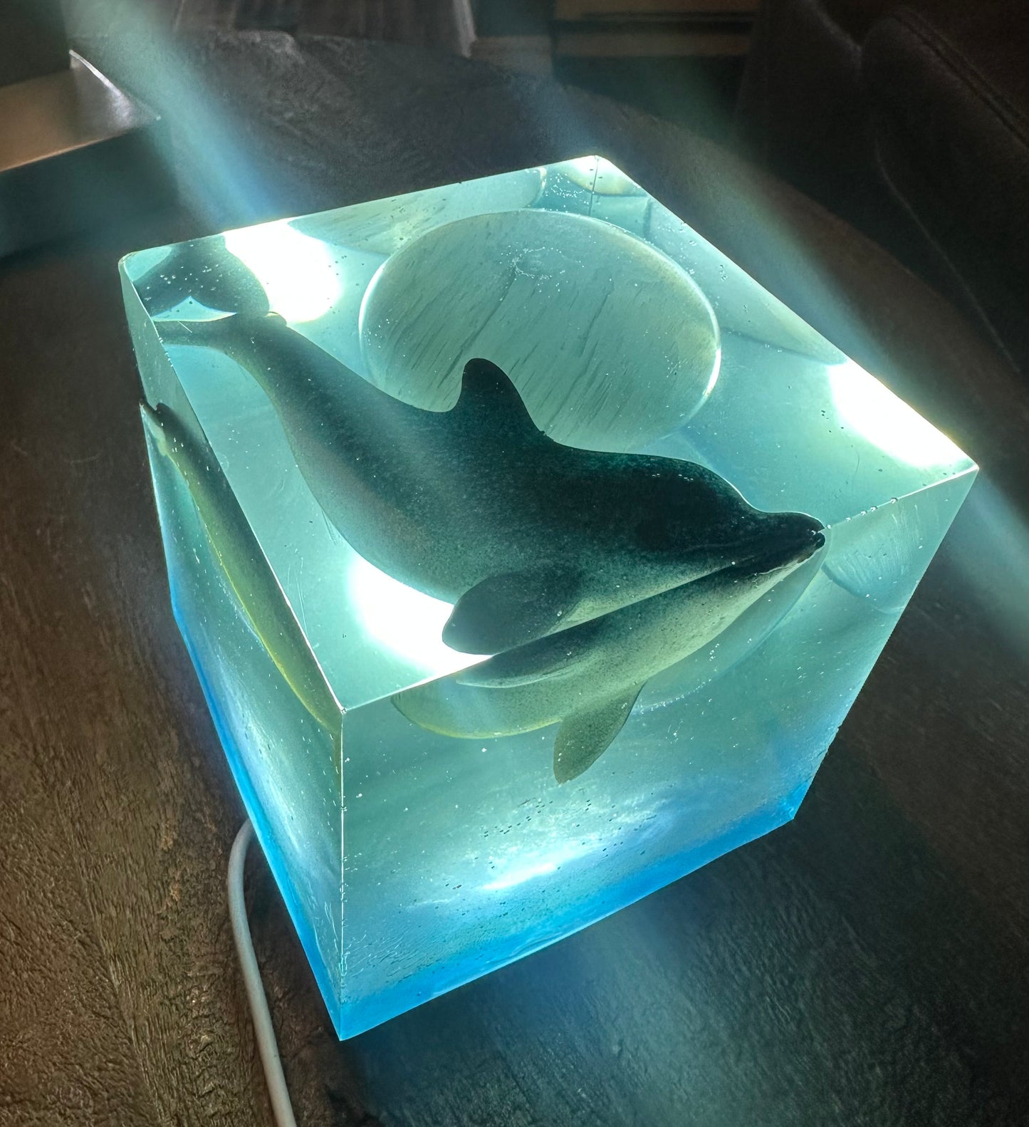 Outer Space Cosmic Dolphin (SOLD)