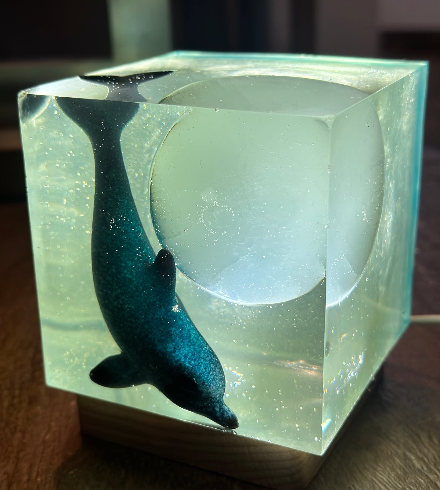 Outer Space Cosmic Dolphin (SOLD)