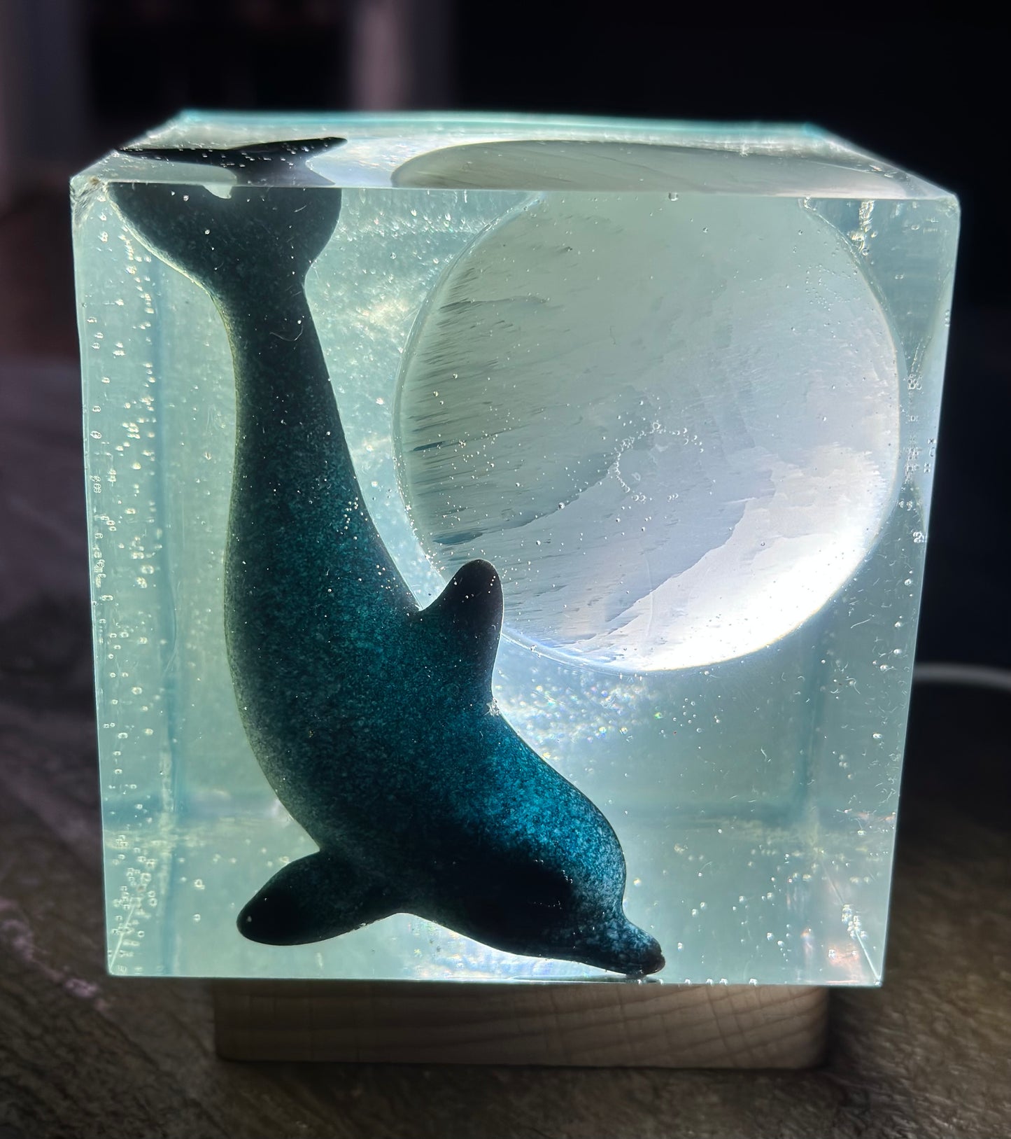 Outer Space Cosmic Dolphin (SOLD)