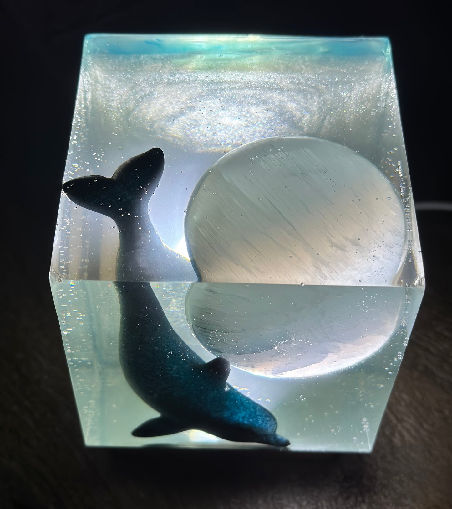Outer Space Cosmic Dolphin (SOLD)