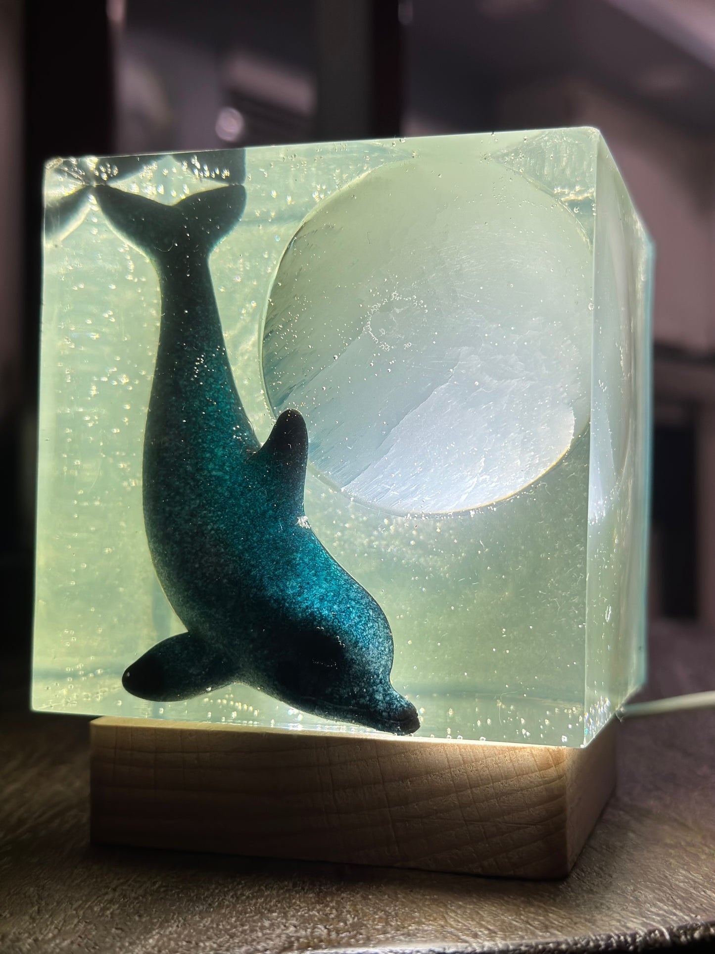 Outer Space Cosmic Dolphin (SOLD)