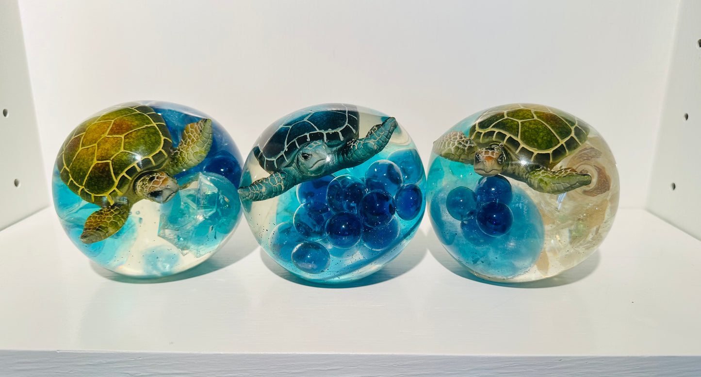 Triple Turtle Trouble