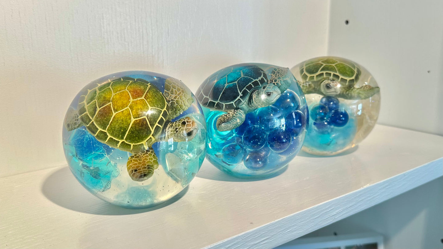 Triple Turtle Trouble