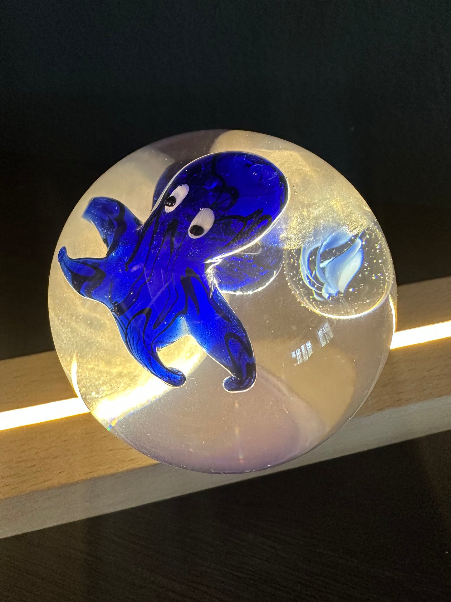 Blue Baby Octopus Marble Fantasy