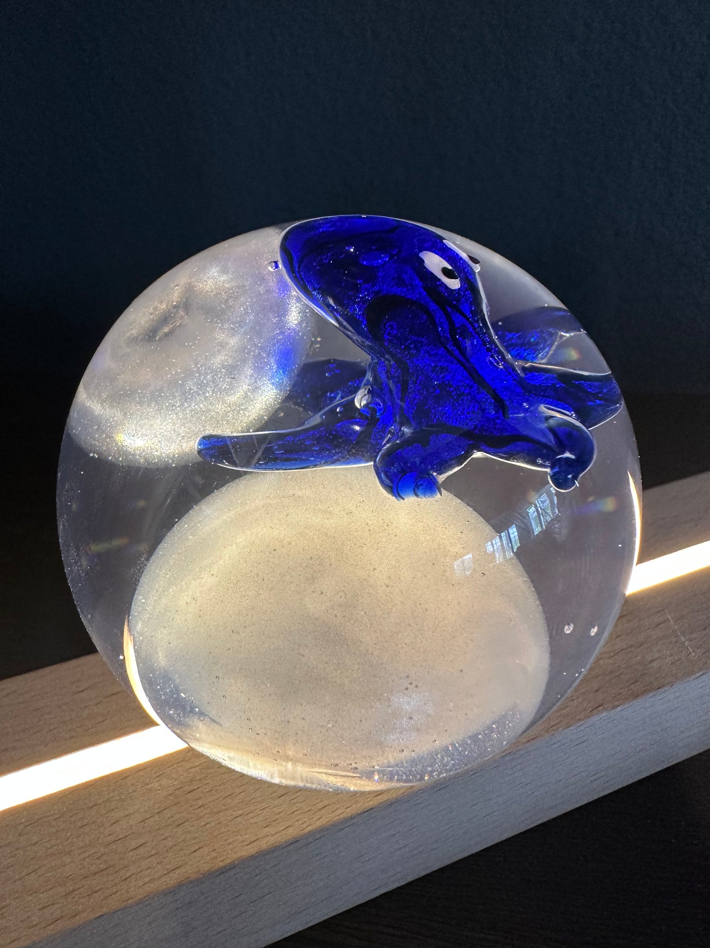 Blue Baby Octopus Marble Fantasy