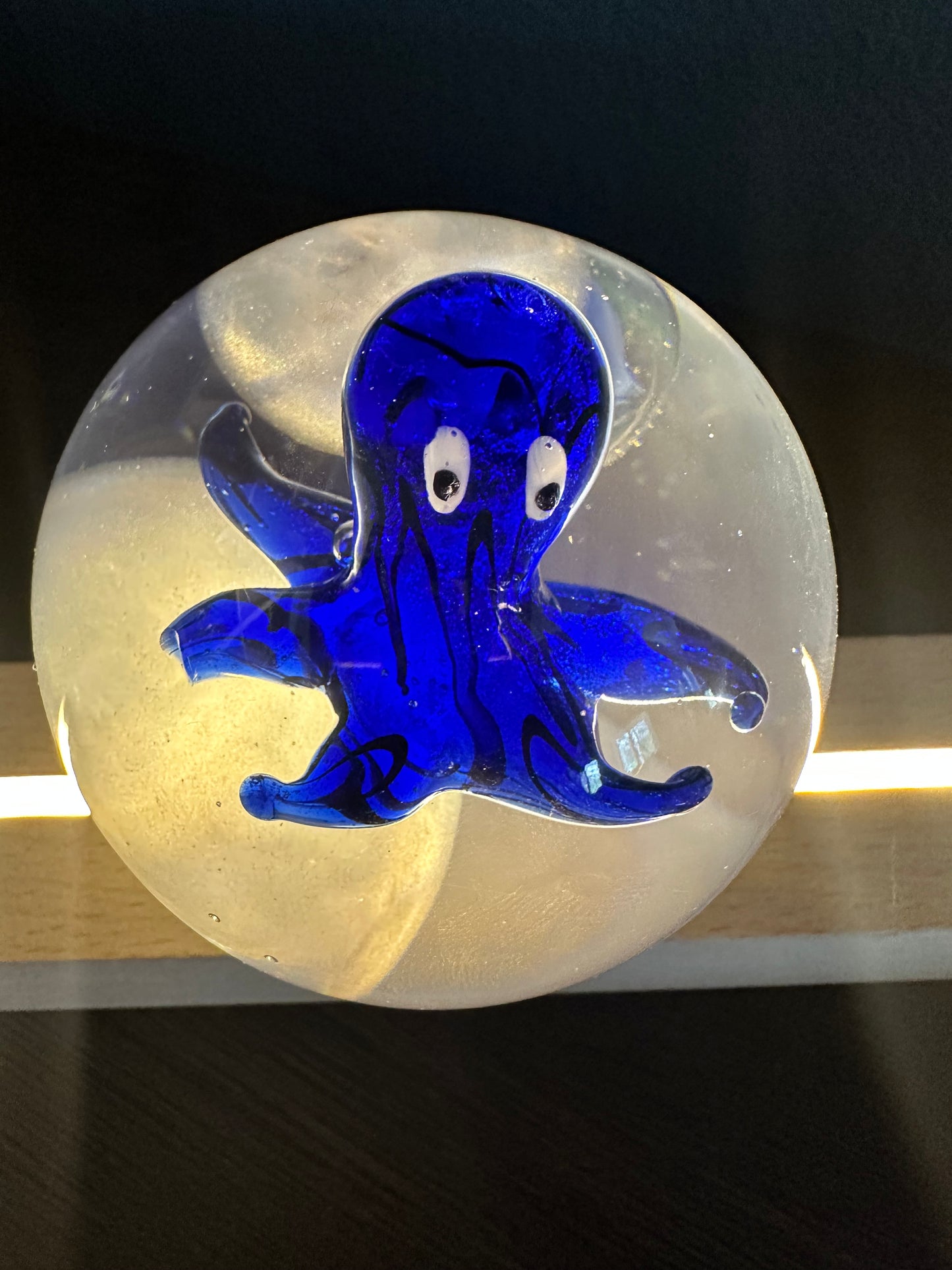 Blue Baby Octopus Marble Fantasy