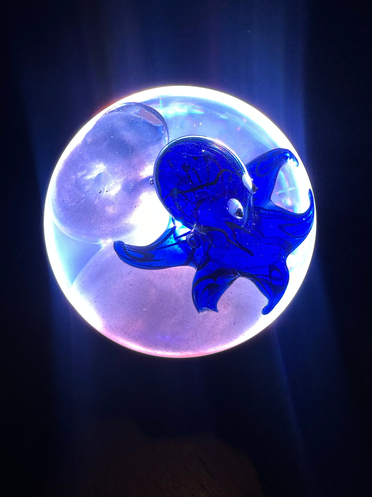 Blue Baby Octopus Marble Fantasy