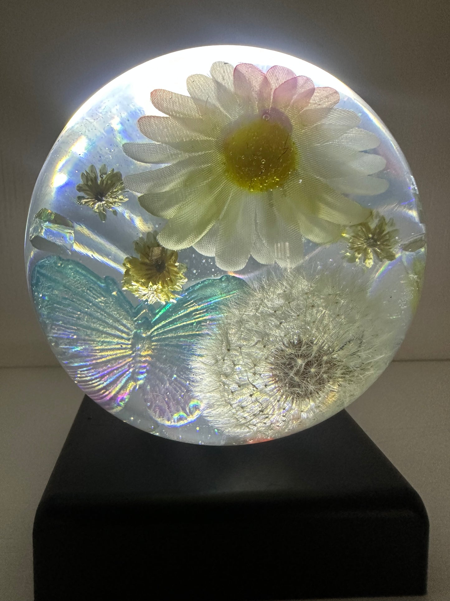 Large Daisy, Dandelion, and Butterfly Sphere