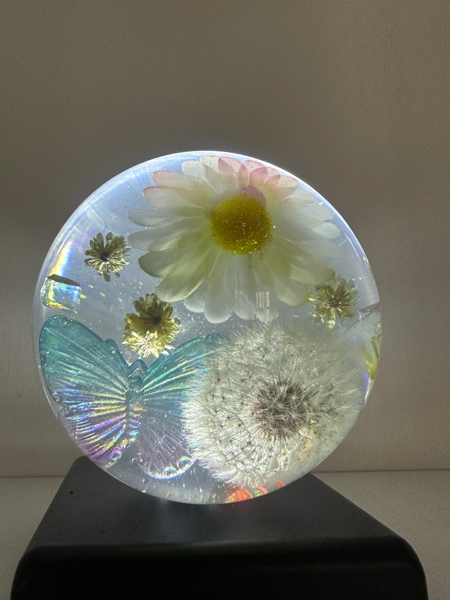 Large Daisy, Dandelion, and Butterfly Sphere