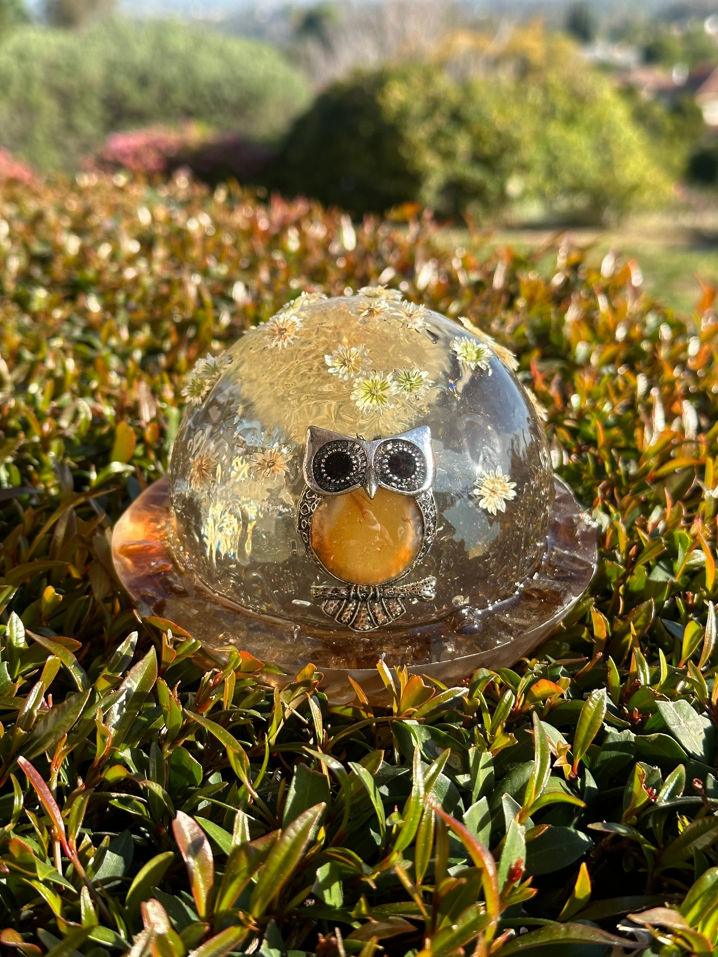 Stargazing Baby Owl Sculpture