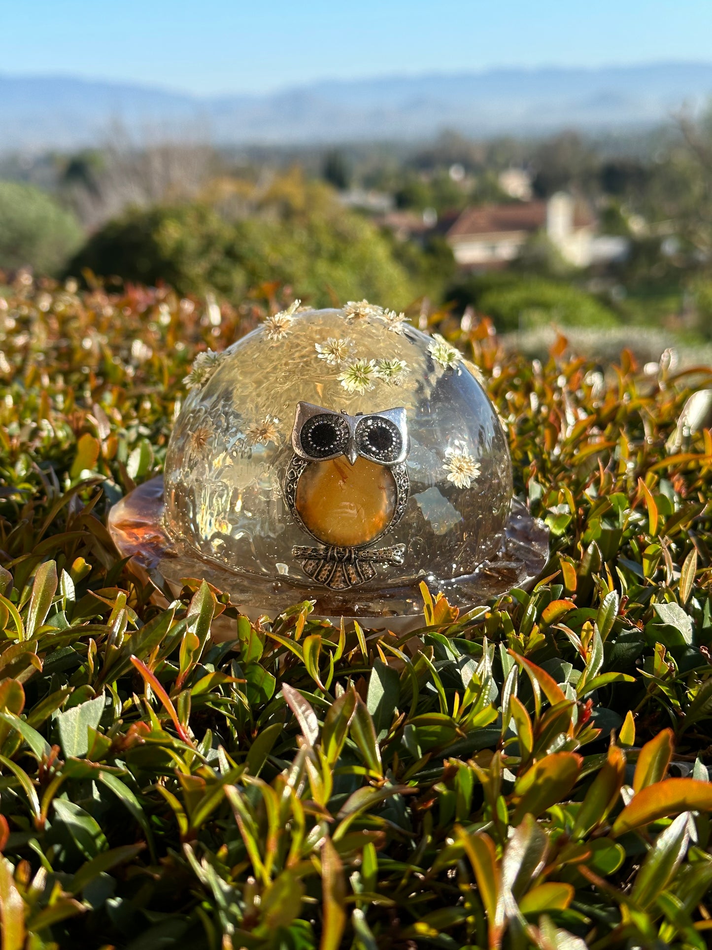Stargazing Baby Owl Sculpture