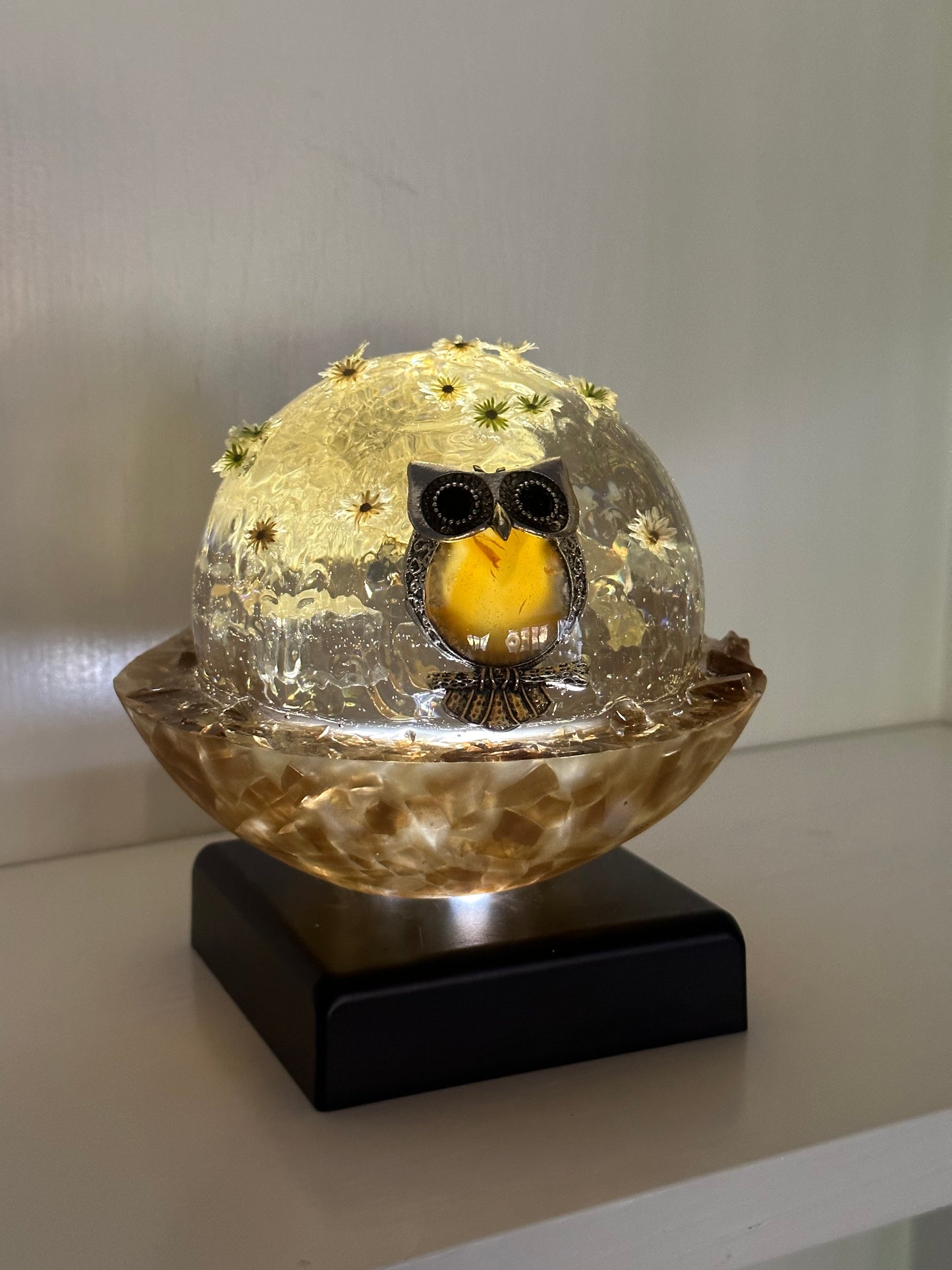 Stargazing Baby Owl Sculpture