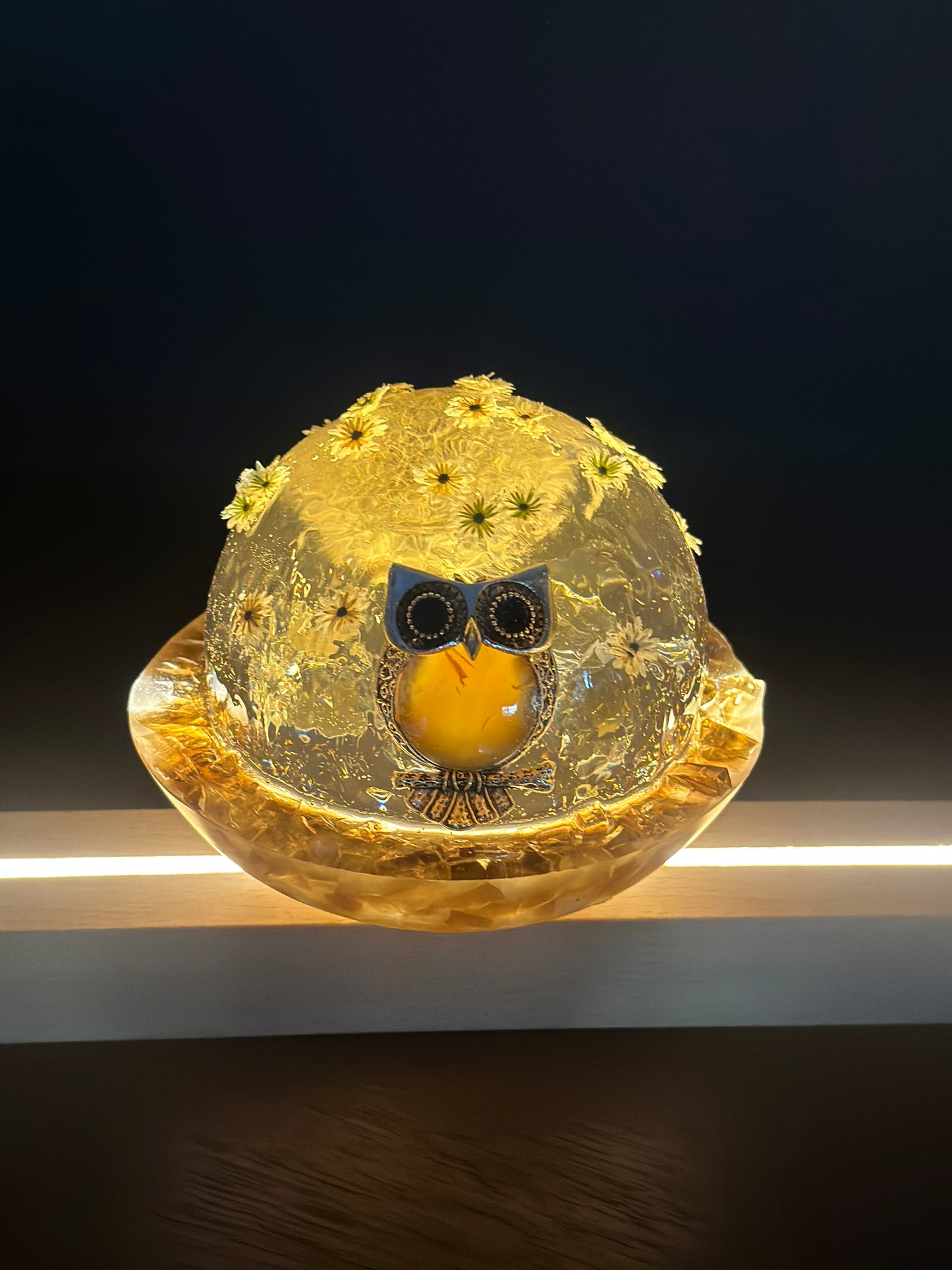 Stargazing Baby Owl Sculpture