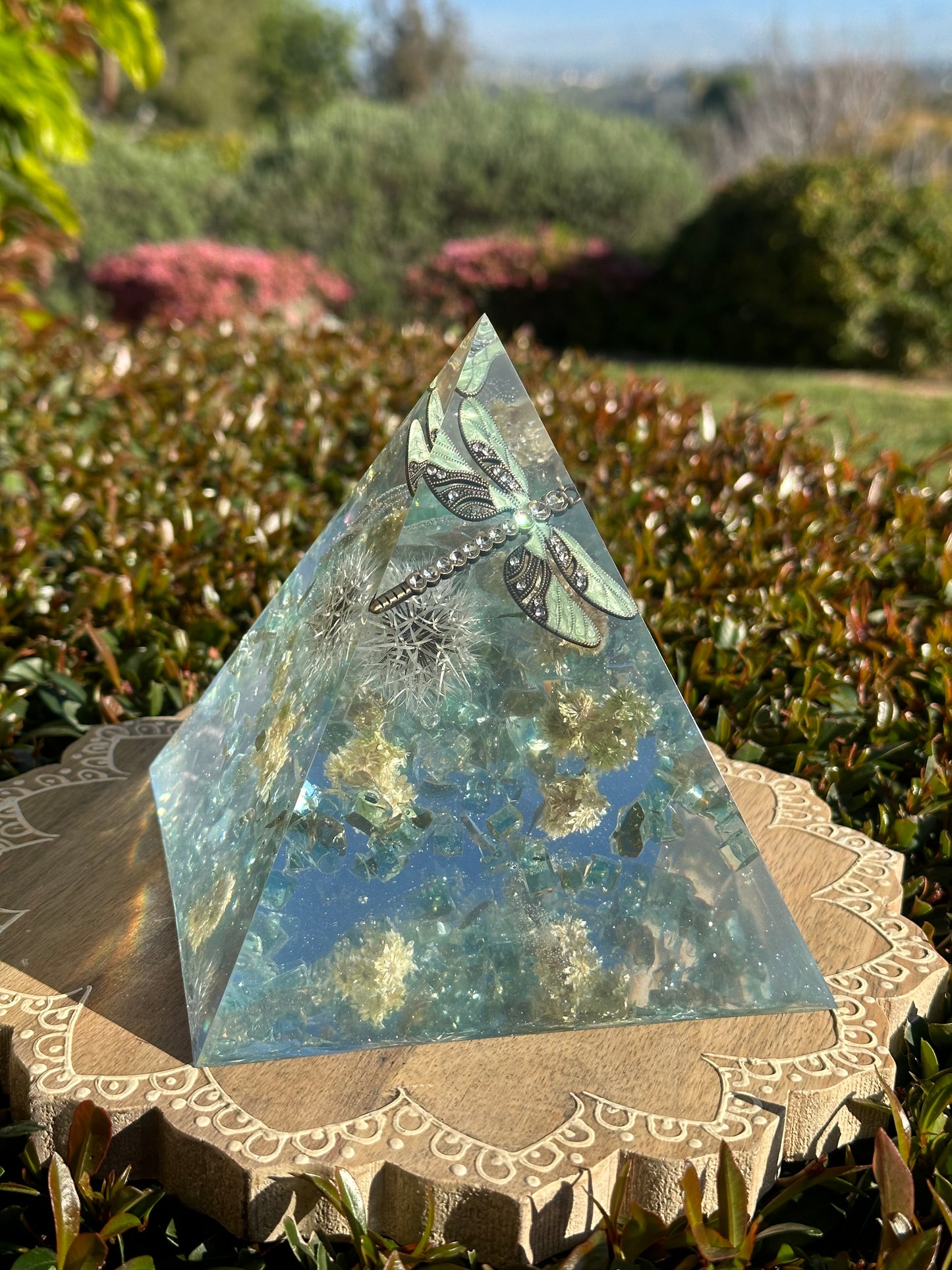 Dragonfly over Desert Dandelion Garden Fantasy Pyramid