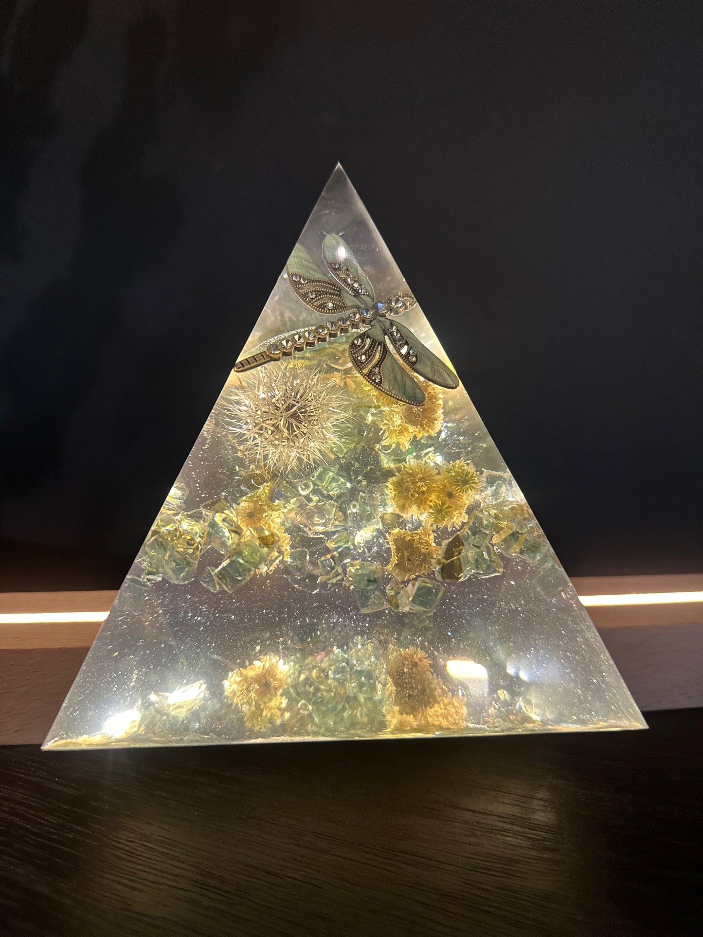 Dragonfly over Desert Dandelion Garden Fantasy Pyramid