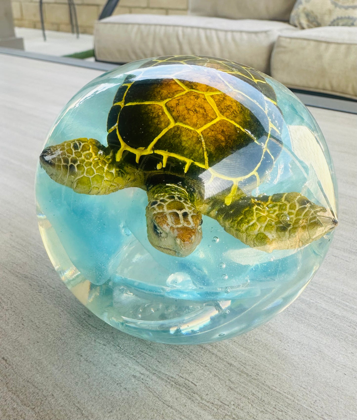 Green Turtle over Turquoise Waters