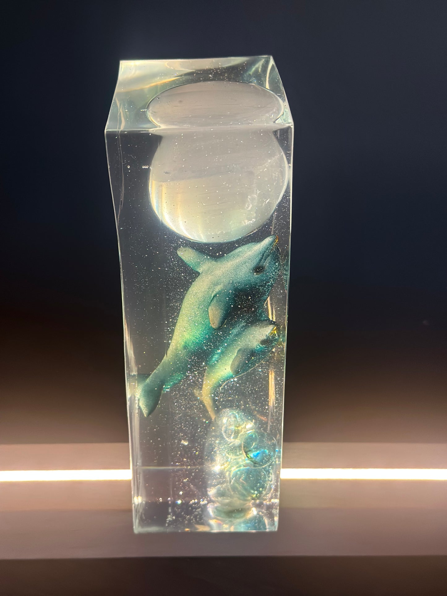 Full Moon Aquatic Dream Dolphins