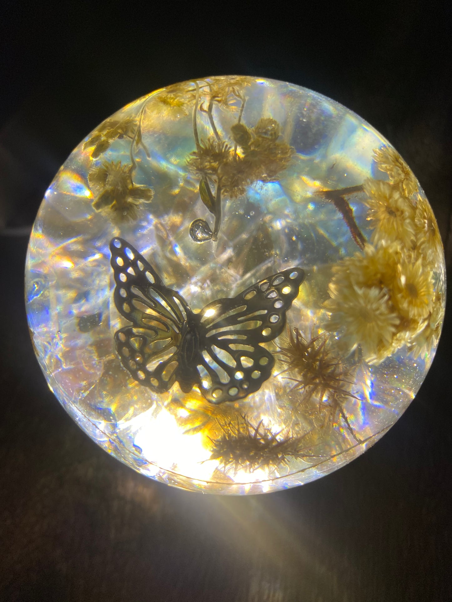 Blue Sky, Golden Flower, Silver Butterfly Dream