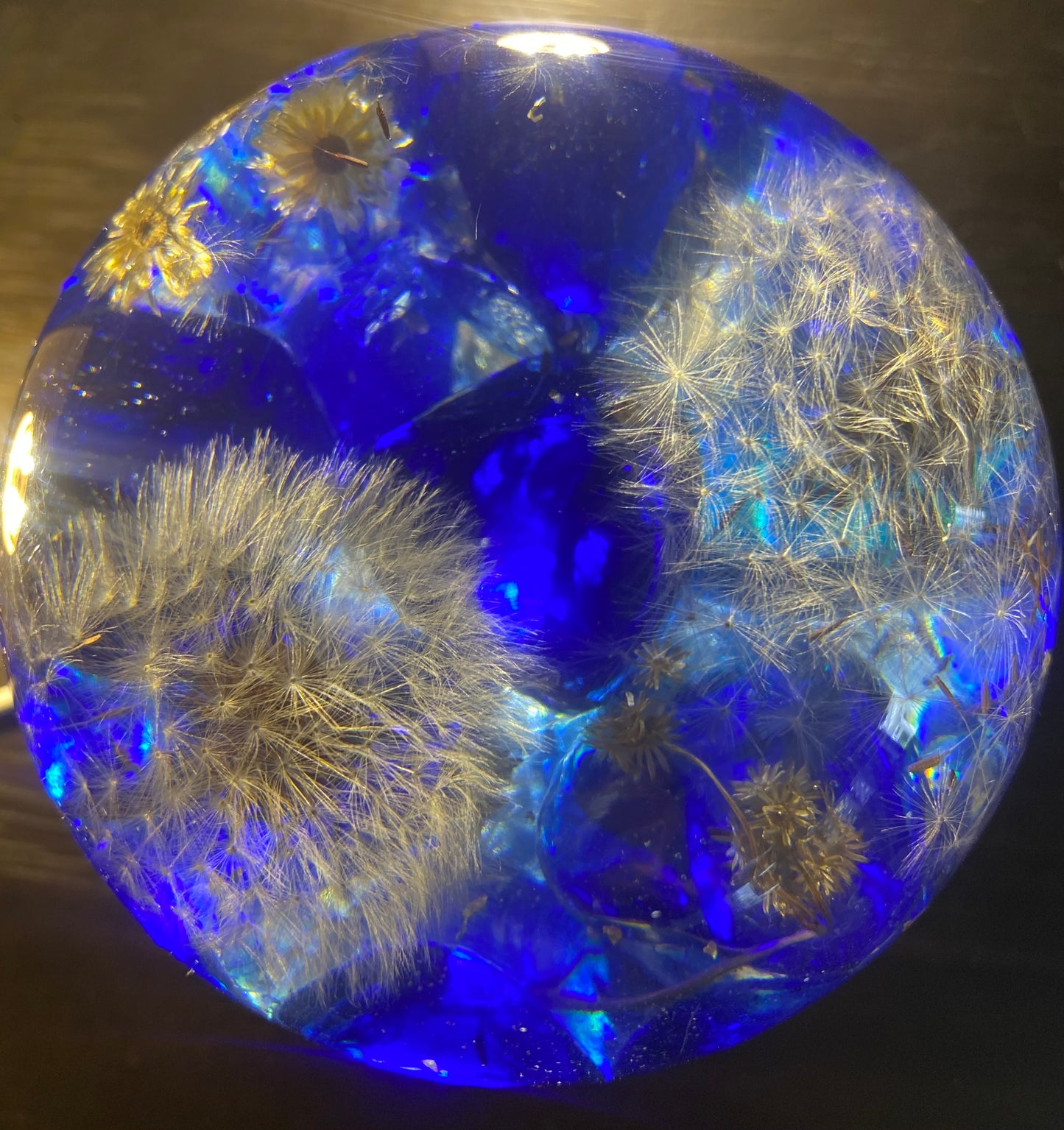 Dark Blue Dandelion Fantasy Garden Sphere