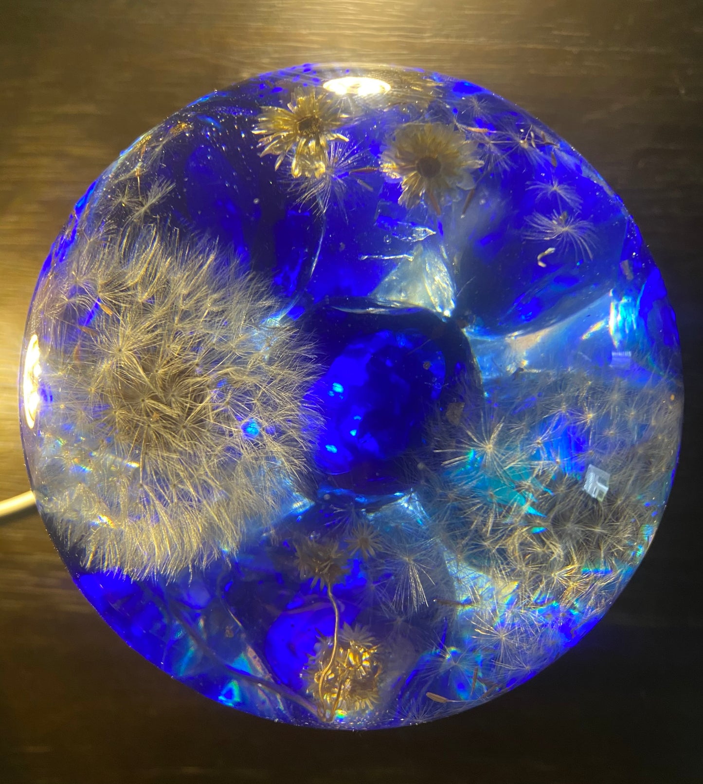 Dark Blue Dandelion Fantasy Garden Sphere