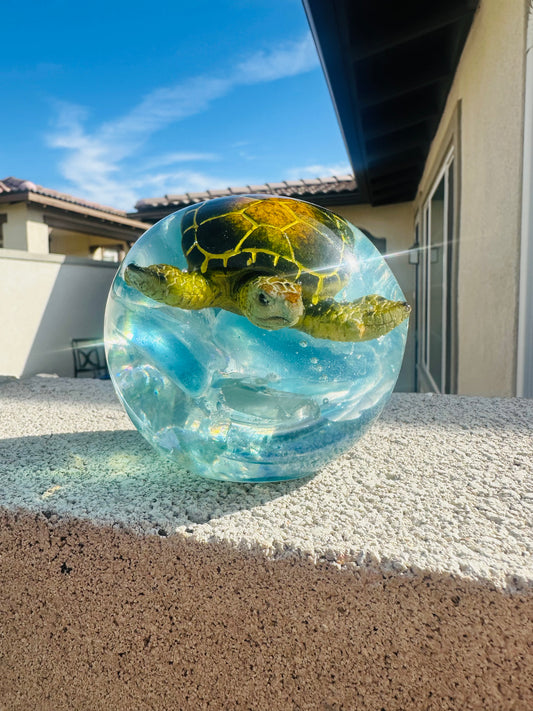 Green Turtle over Turquoise Waters