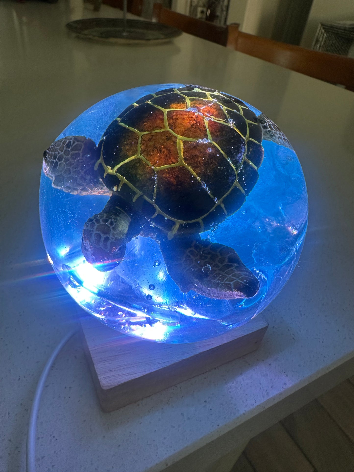 Green Turtle over Turquoise Waters