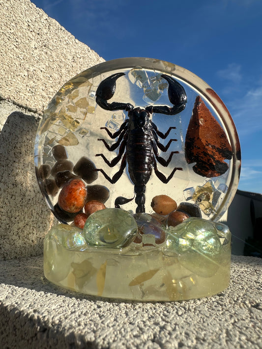 Standing Coaster Scorpion