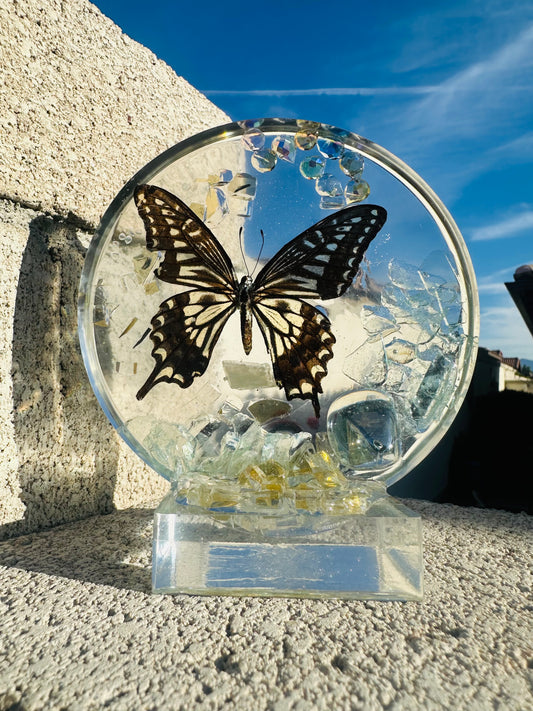 Butterfly Dreams Standing Coaster